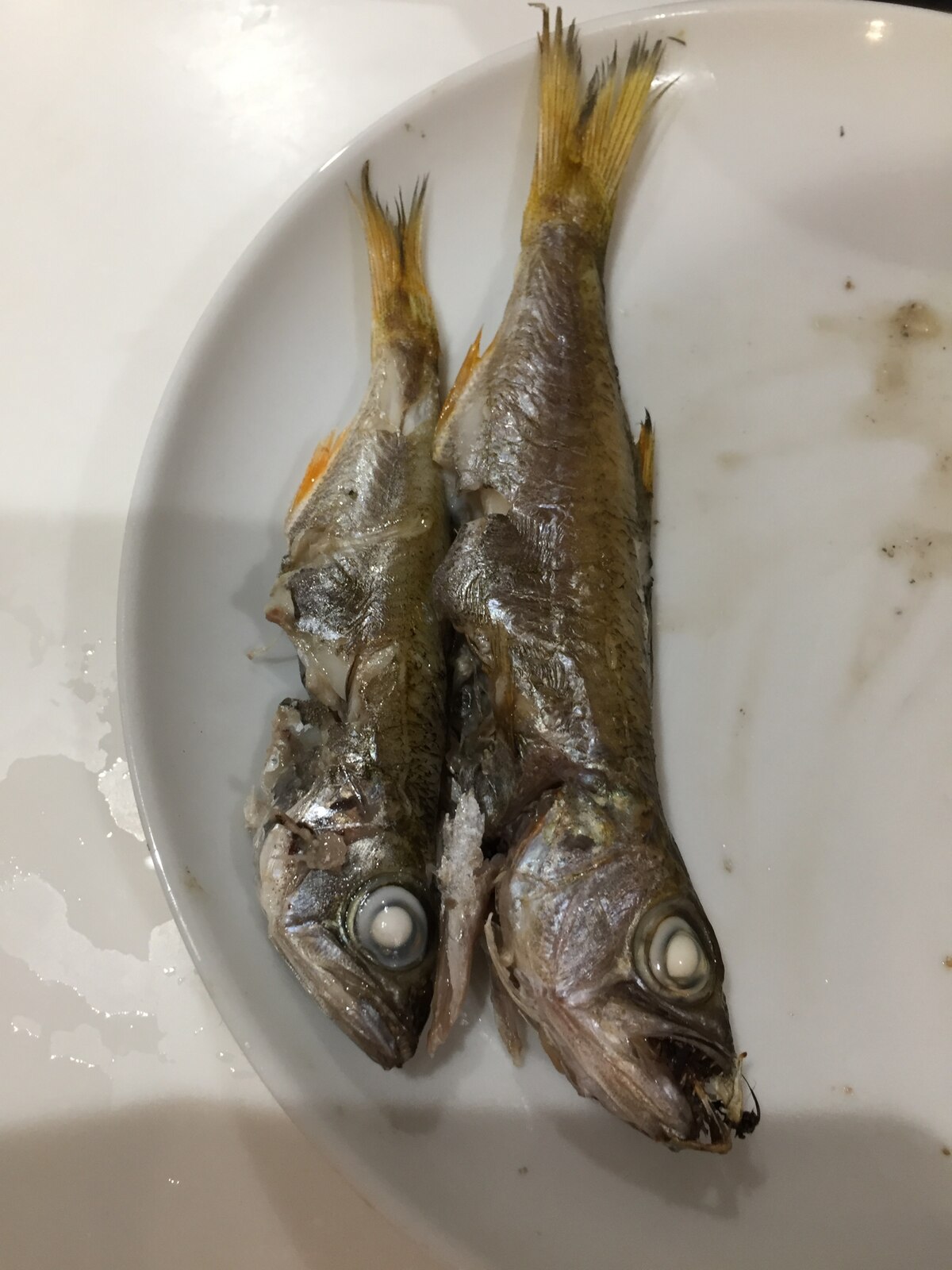 黒ムツの魚焼きグリルで塩焼き レシピ 作り方 By のこ311 楽天レシピ 黒ムツの魚焼きグリルで塩焼き レシピ 作り方 By のこ311 楽天レシピ